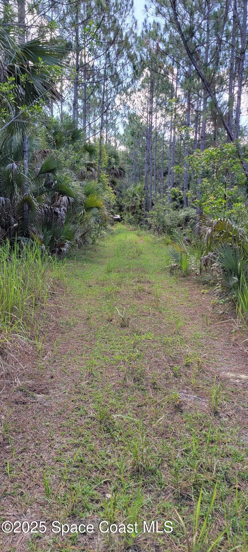 0 Mario Avenue Cocoa, FL 32926 - Photo 6 of 6 2405874 pic