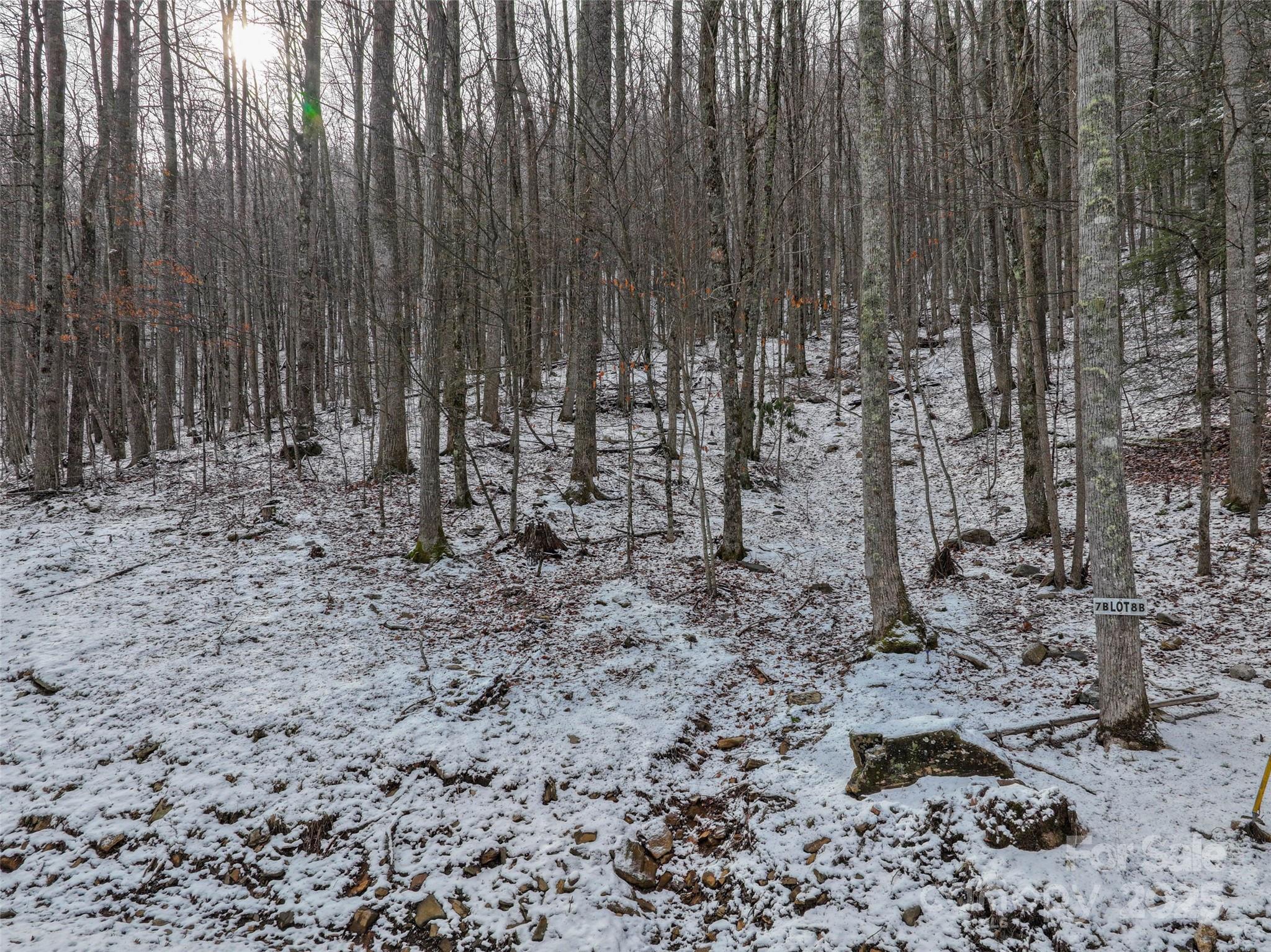 Lot 7 Hickory Springs Road, Unit 7B Burnsville, NC 28714 - Photo 12 of 24