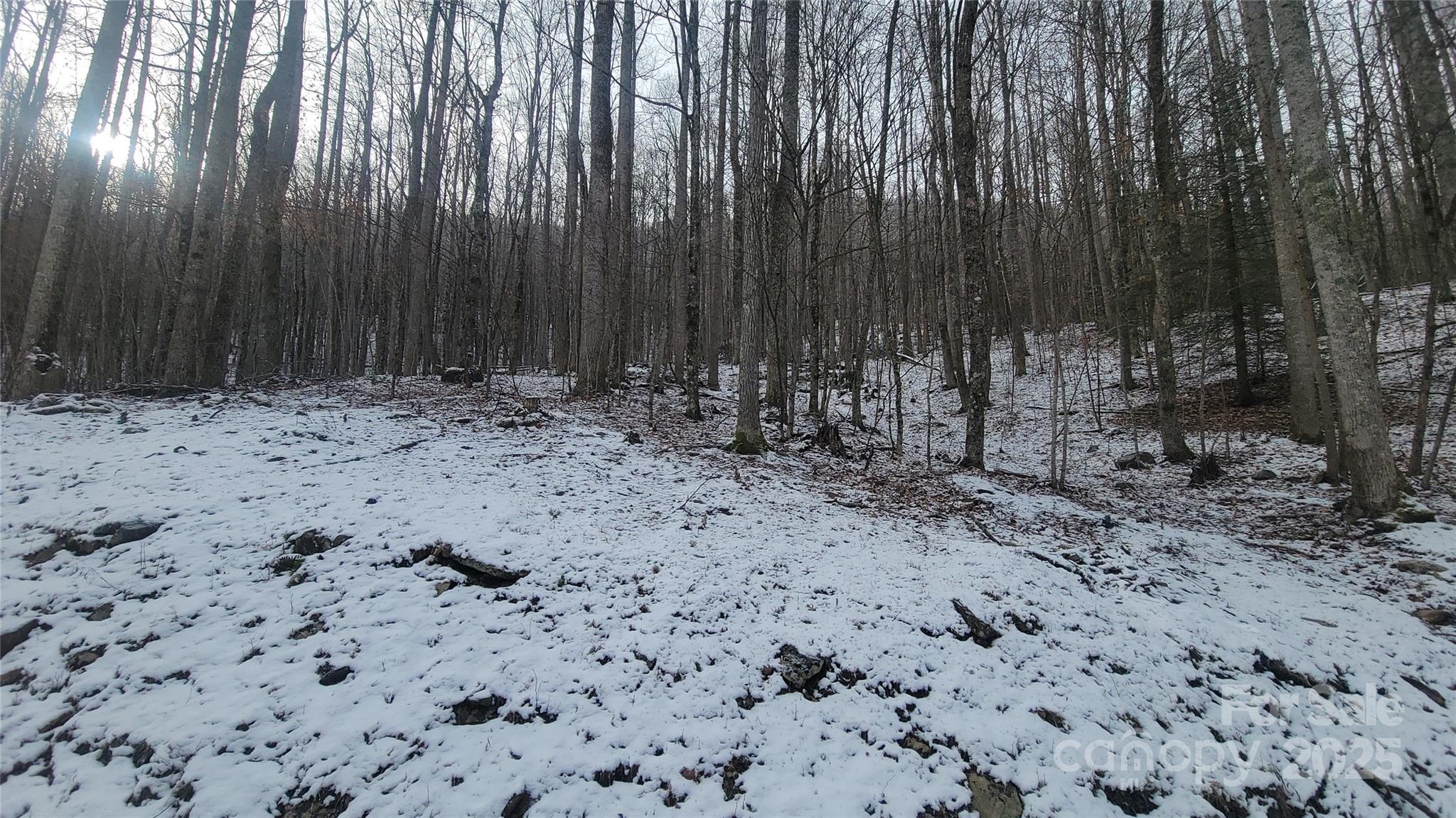 Lot 7 Hickory Springs Road, Unit 7B Burnsville, NC 28714 - Photo 15 of 24