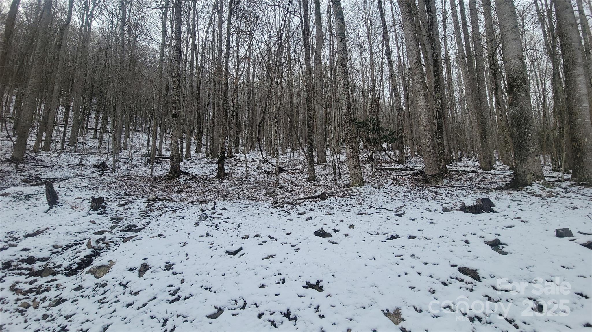 Lot 7 Hickory Springs Road, Unit 7B Burnsville, NC 28714 - Photo 16 of 24