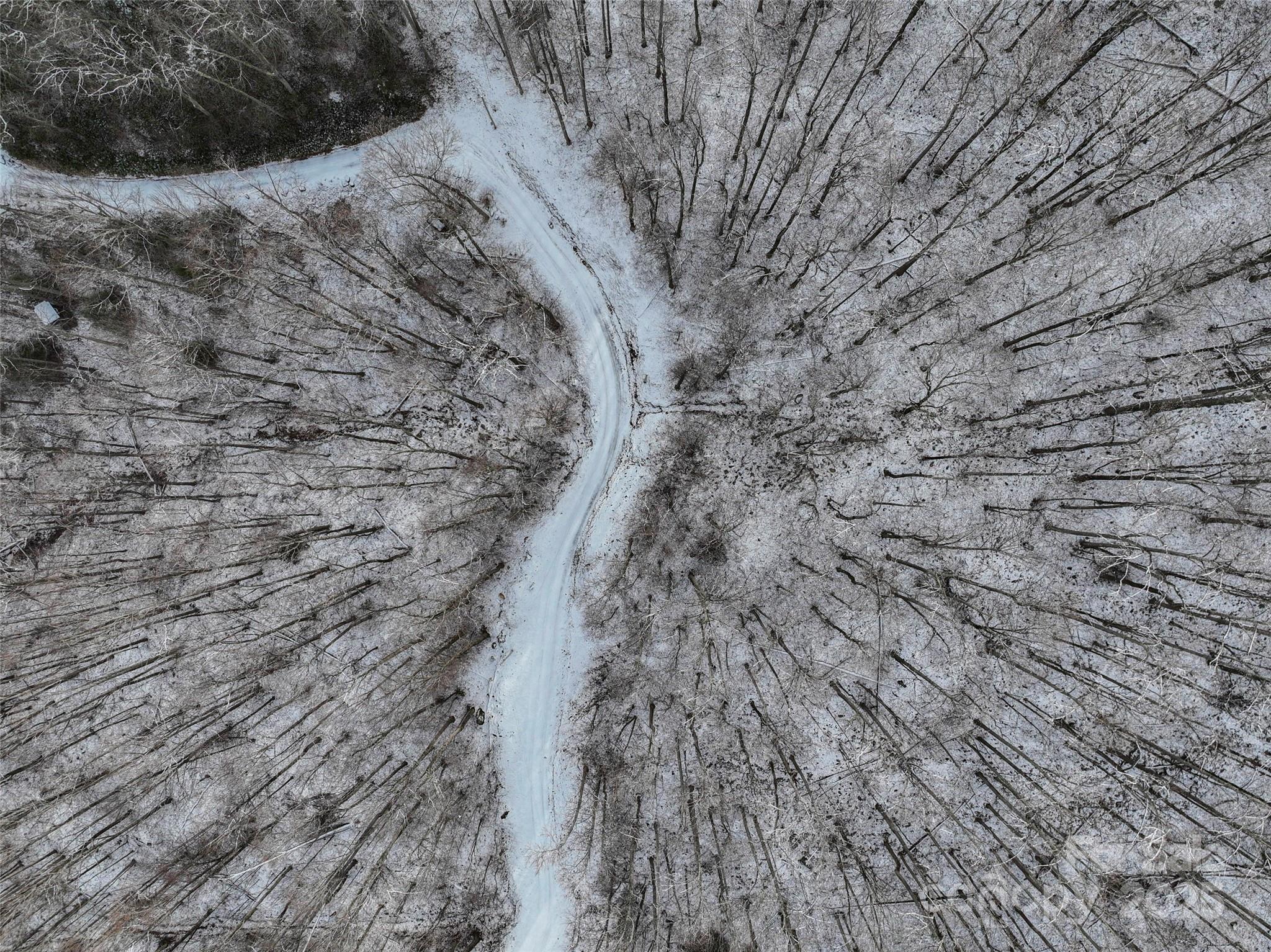 Lot 7 Hickory Springs Road, Unit 7B Burnsville, NC 28714 - Photo 19 of 24