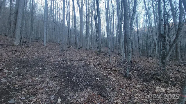 $99,900 | Lot 7 Hickory Springs Road, Unit 7B, Burnsville, NC 28714