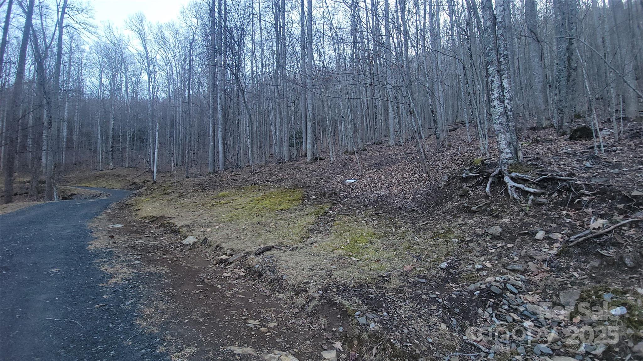 Lot 7 Hickory Springs Road, Unit 7B Burnsville, NC 28714 - Photo 4 of 24