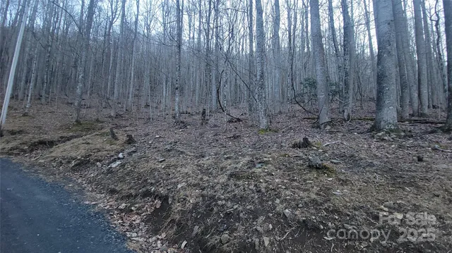 $99,900 | Lot 7 Hickory Springs Road, Unit 7B, Burnsville, NC 28714