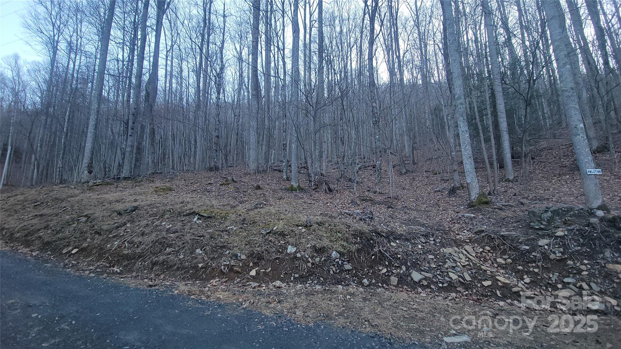 Lot 7 Hickory Springs Road, Unit 7B Burnsville, NC 28714 - Photo 6 of 24