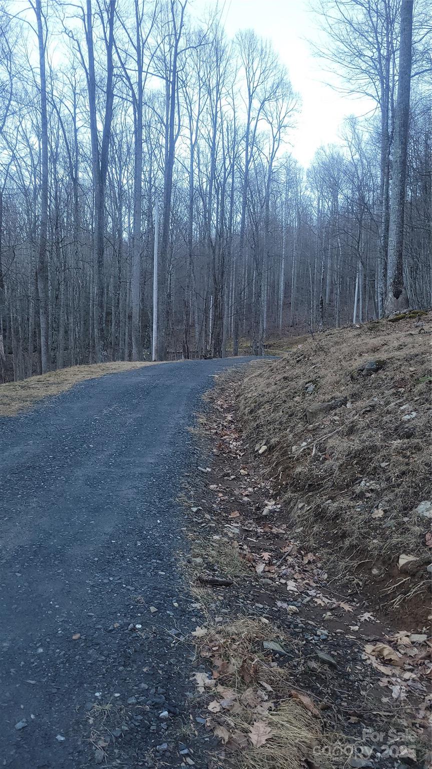 Lot 7 Hickory Springs Road, Unit 7B Burnsville, NC 28714 - Photo 8 of 24