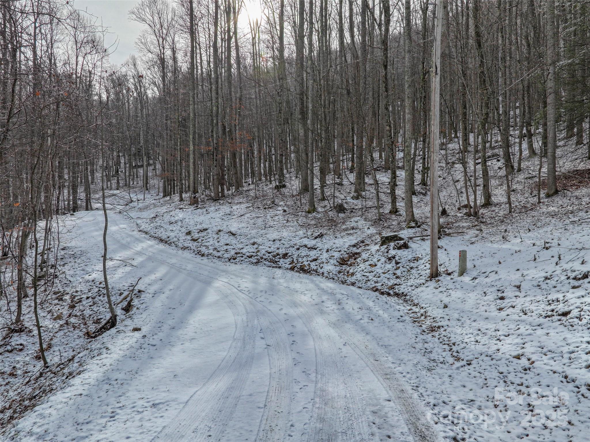 Lot 7 Hickory Springs Road, Unit 7B Burnsville, NC 28714 - Photo 9 of 24