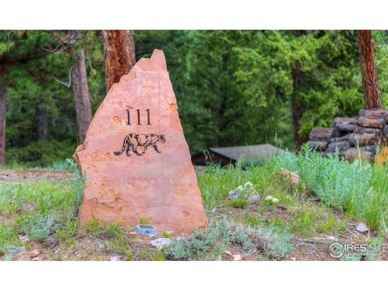 111 Puma Drive Boulder, CO 80302 - Photo 31 of 37