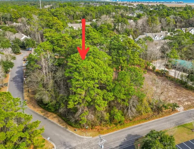 $350,000 | Tbd Professional Lane, Pawleys Island, SC 29585