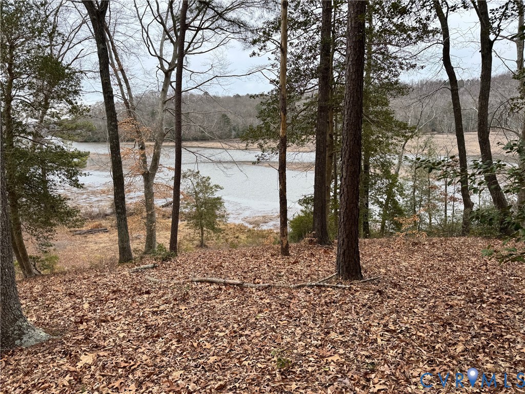 Lot 9-e & 9f Beech Tree Lane Tappahannock, VA 22560 - Photo 3 of 9 a view of a forest filled with trees