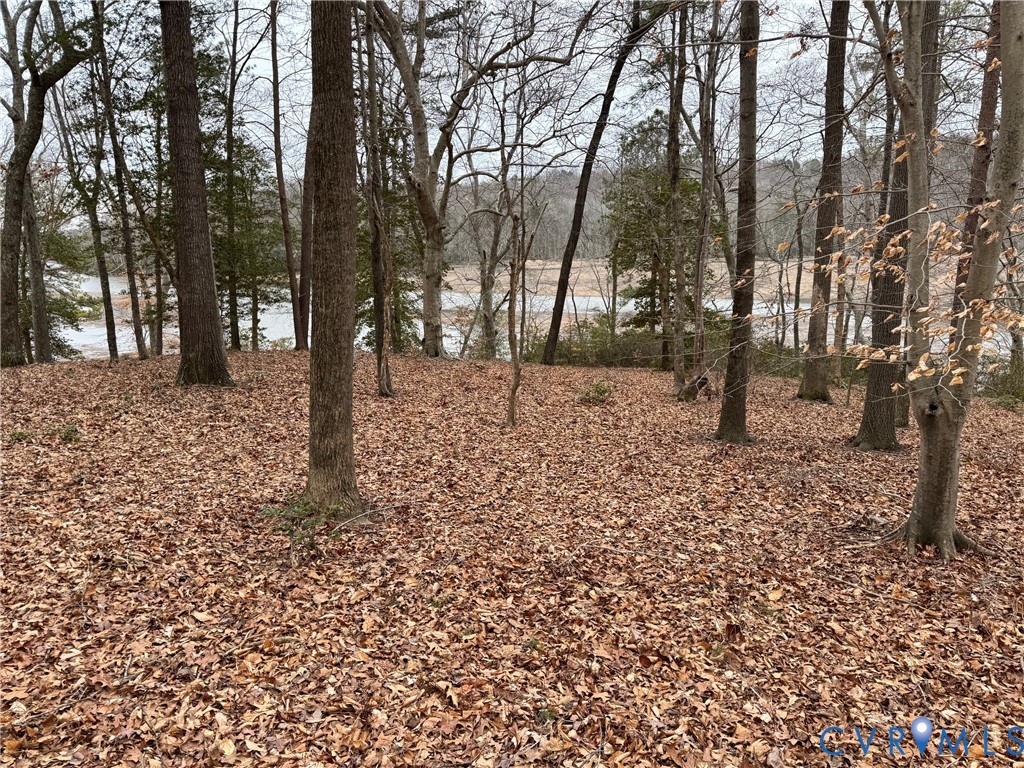 Lot 9-e & 9f Beech Tree Lane Tappahannock, VA 22560 - Photo 4 of 9 a backyard of a house with lots of green space