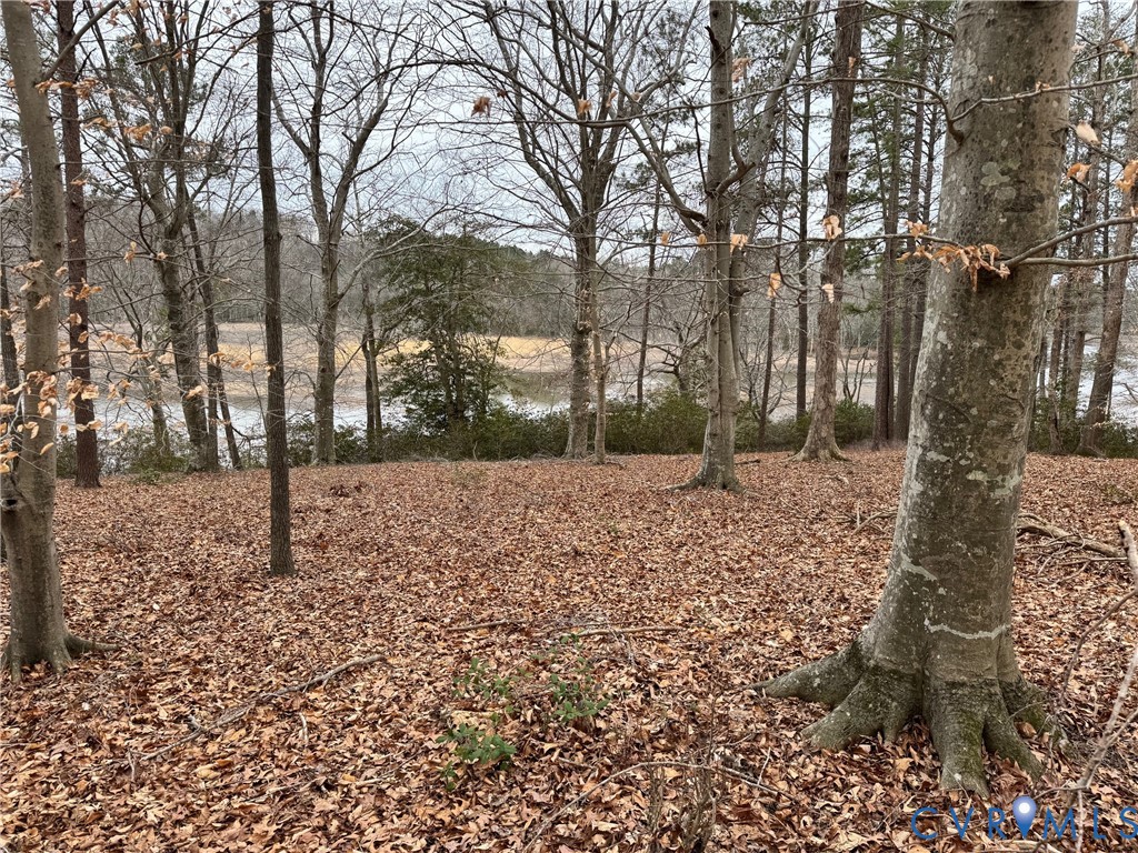 Lot 9-e & 9f Beech Tree Lane Tappahannock, VA 22560 - Photo 5 of 9 a view of outdoor space with trees
