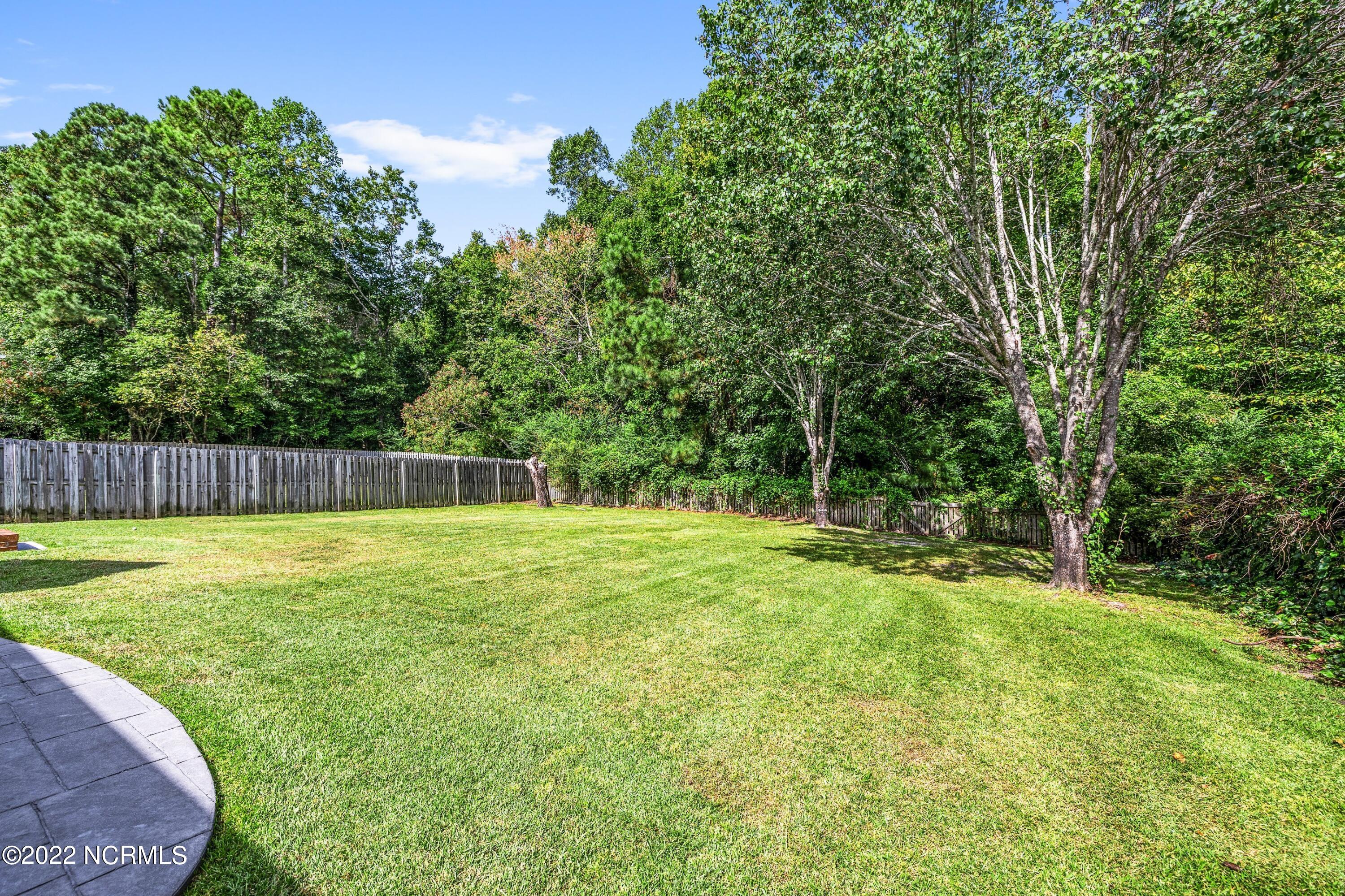 1124 Mill Run Road Sneads Ferry, NC 28460 - Photo 33 of 37 1Q3A1147.jpg-SMALL