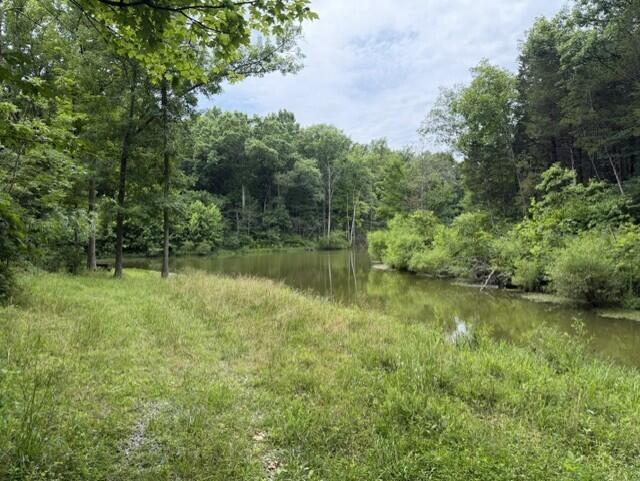 0 Kelly Ridge Road Irvine, KY 40336 - Photo 10 of 39 14