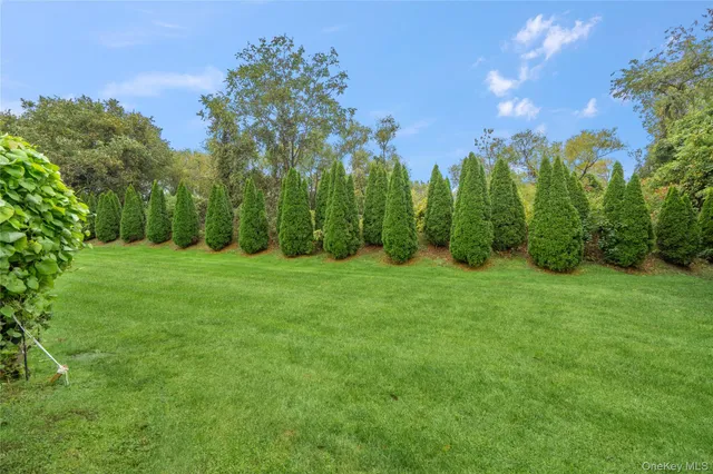 a backyard of a house with lots of green space