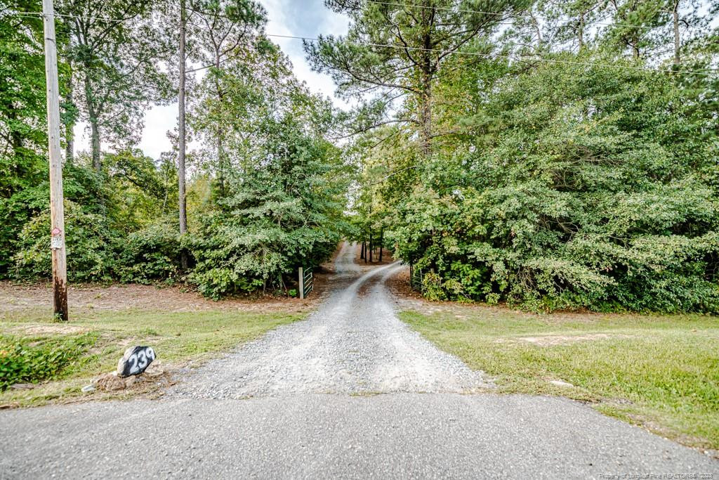 239 Lawrence Road Broadway, NC 27505 - Photo 45 of 50 Photo 45