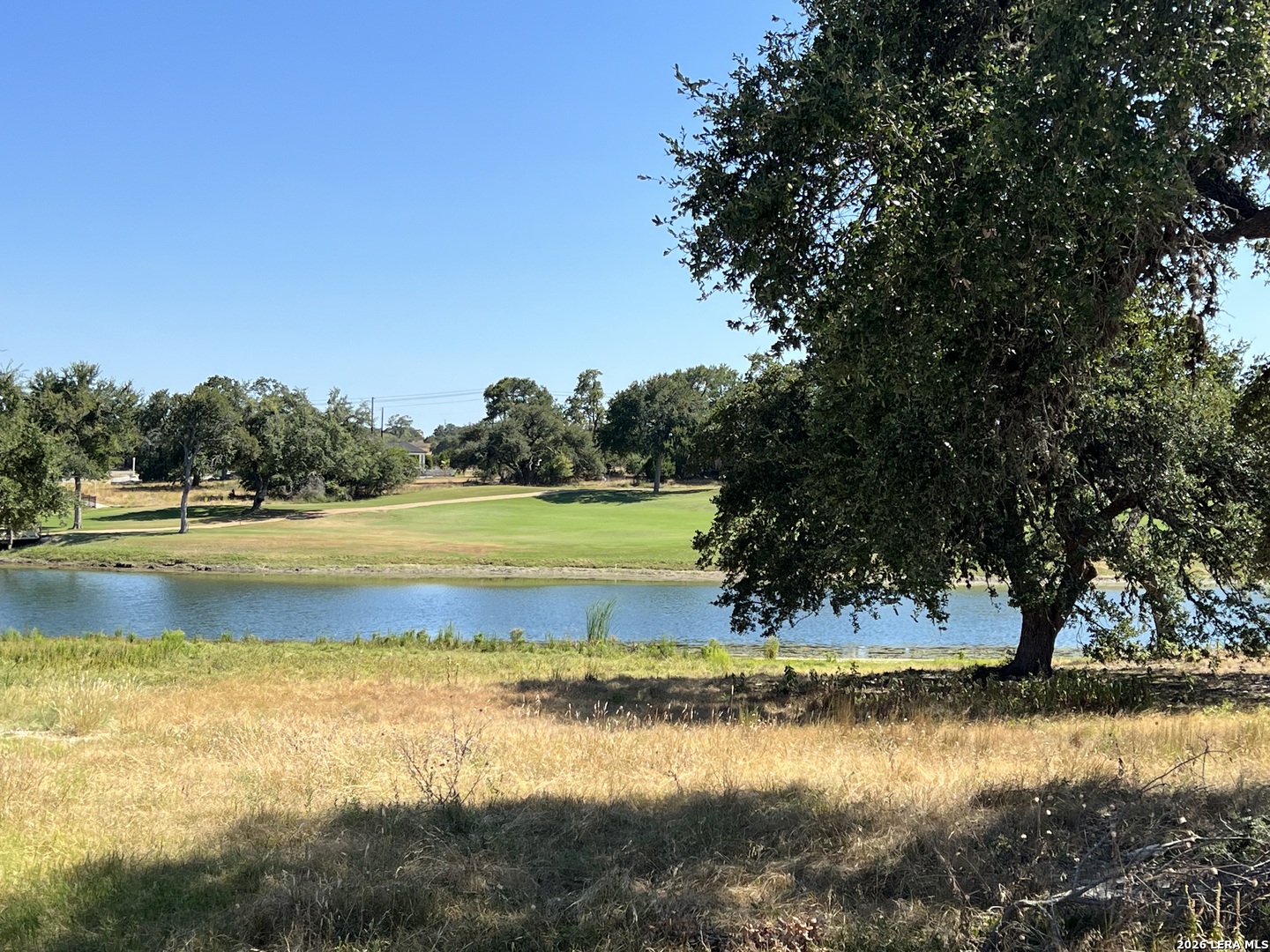 101 Bryan Marsh Blanco, TX 78606 - Photo 8 of 8