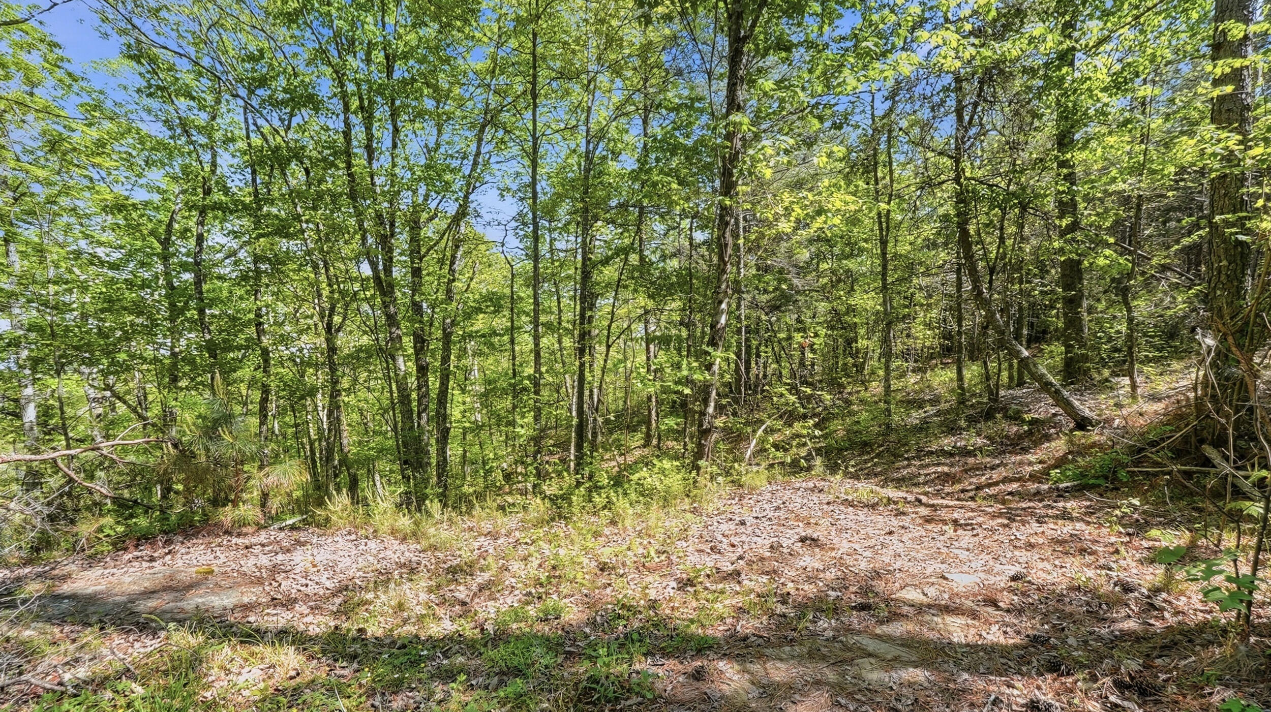 0 Worley Road, Unit LOT 43 Soddy-Daisy, TN 37379 - Photo 13 of 31 11024 Worley Rd-12