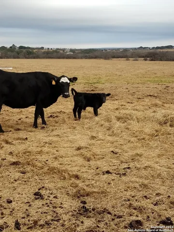 $1,200,000 | 13857 Highway 87, Adkins, TX 78101