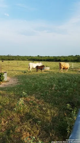 $1,200,000 | 13857 Highway 87, Adkins, TX 78101