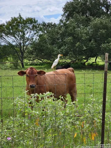 $1,200,000 | 13857 Highway 87, Adkins, TX 78101