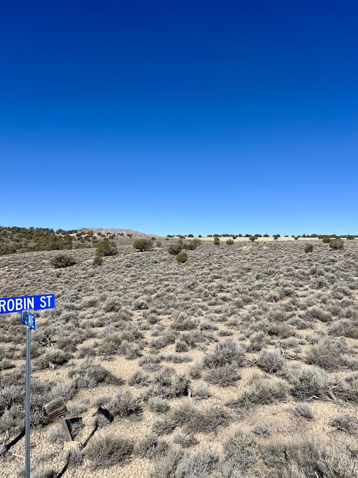 Lee Ave Spring Creek Spring Creek, NV 89815 - Photo 2 of 18