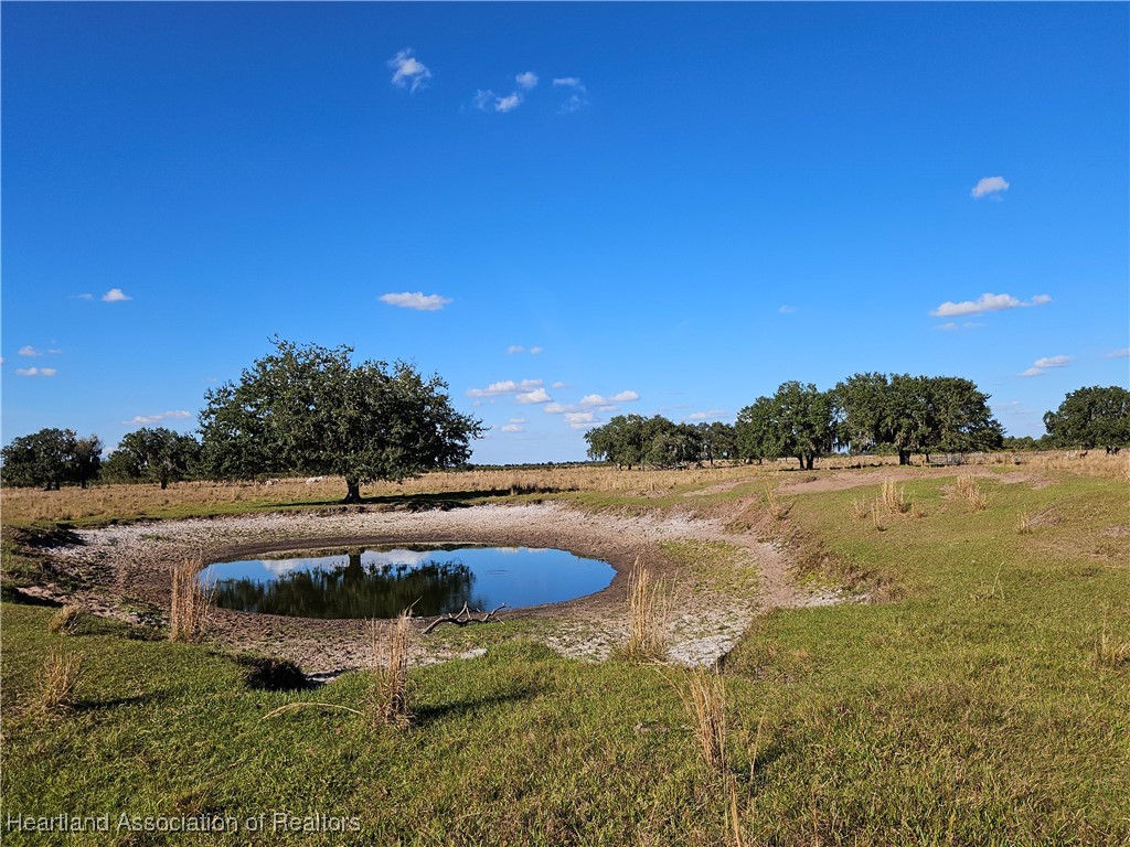 320 Grigsby Road Venus, FL 33960 - Photo 2 of 21 Gallery Image 2
