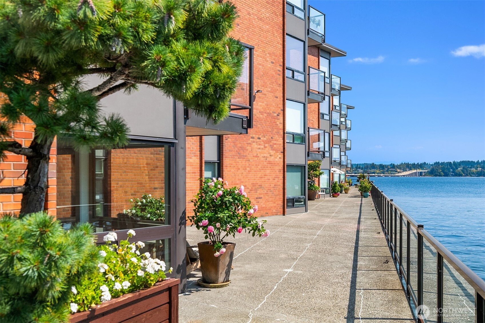 2360 43rd Avenue East, Unit 211 Seattle, WA 98112 - Photo 23 of 26 a view of a potted flower in the corridor