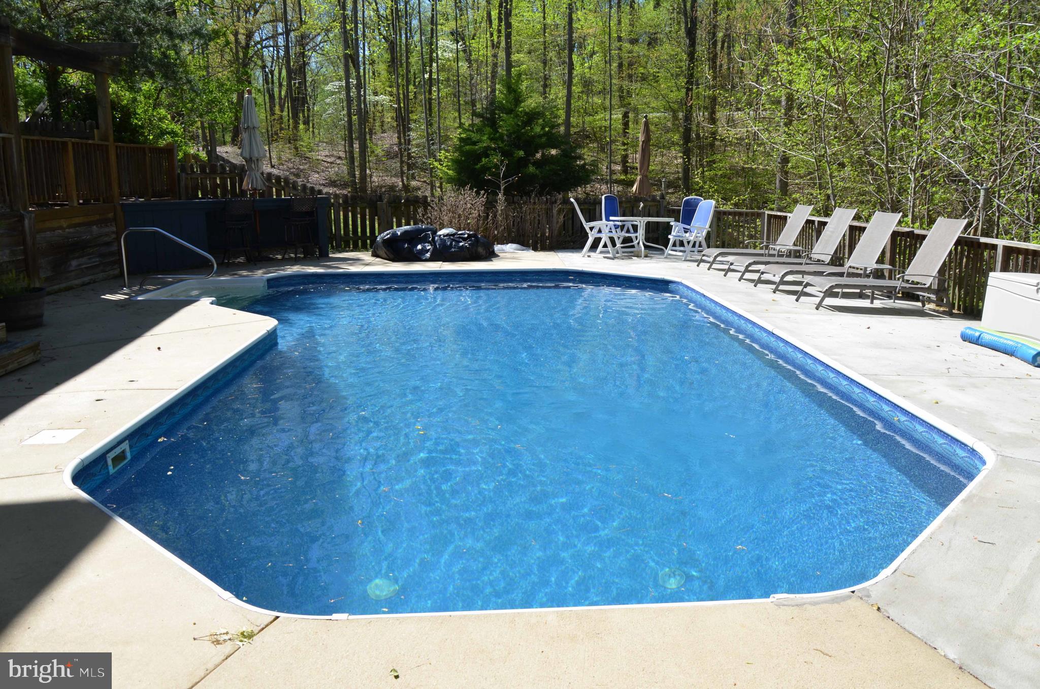 6137 Caledon Road King George, VA 22485 - Photo 16 of 45 10,000 Gallon Pool