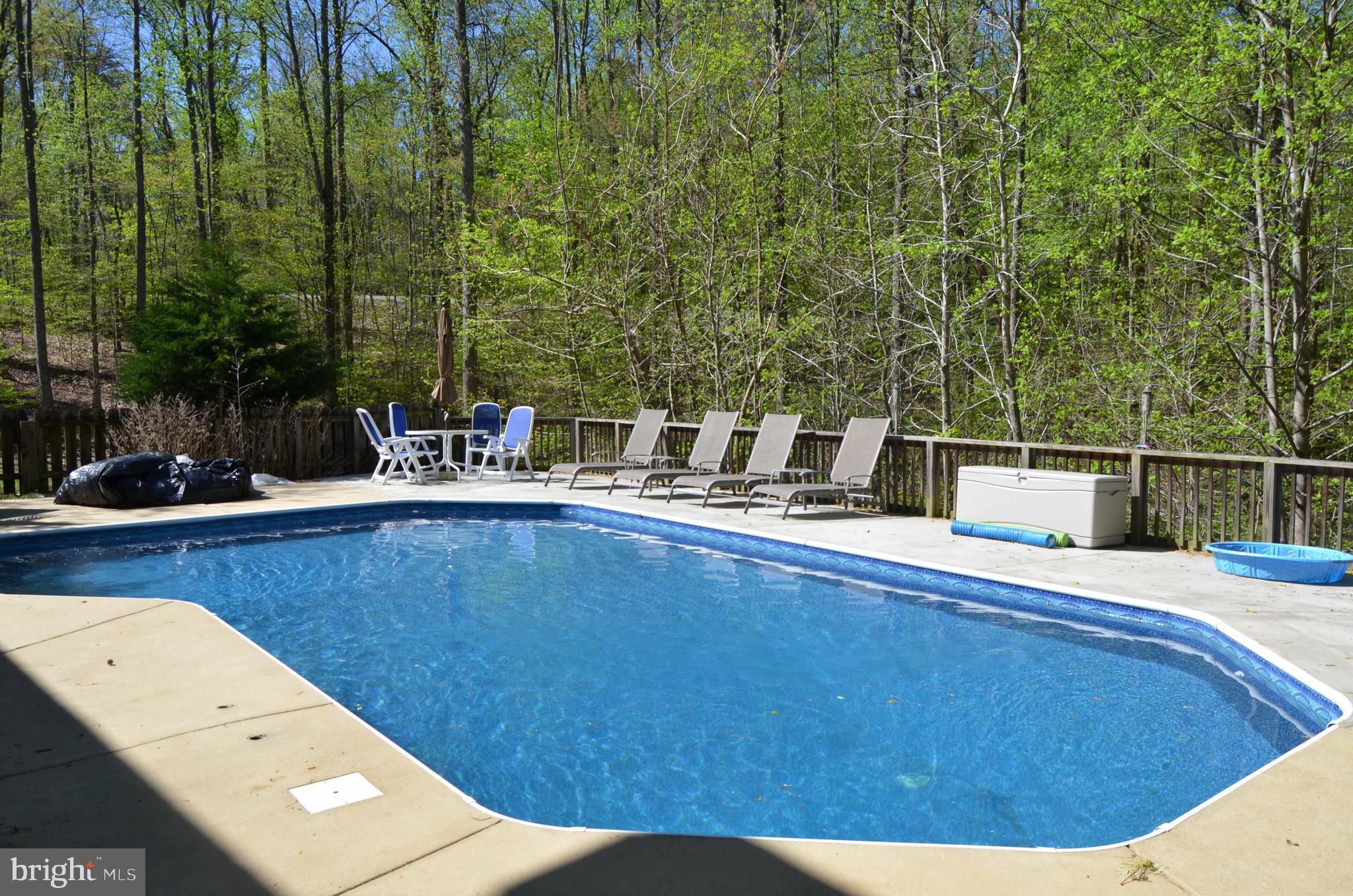 6137 Caledon Road King George, VA 22485 - Photo 17 of 45 Pool