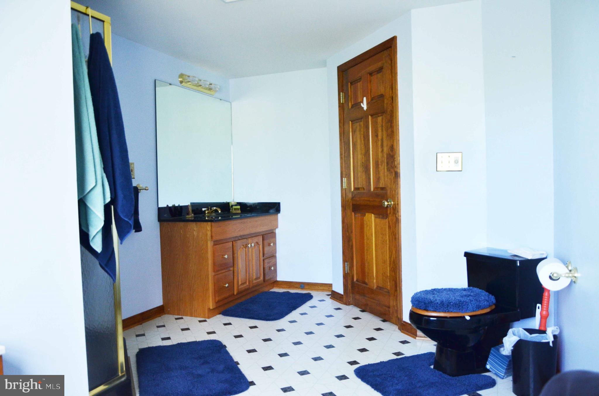 6137 Caledon Road King George, VA 22485 - Photo 32 of 45 First Floor Full Bath