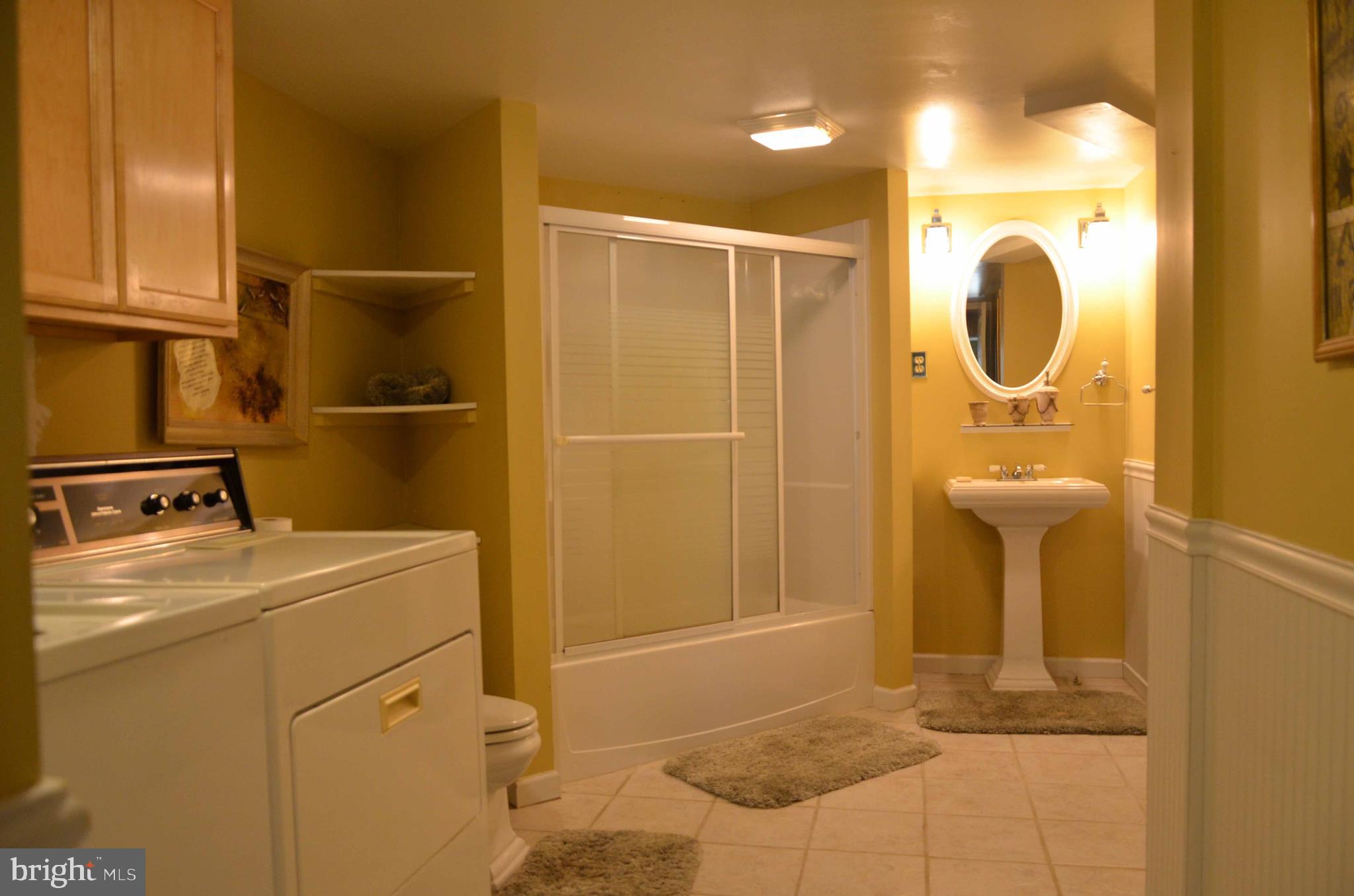 6137 Caledon Road King George, VA 22485 - Photo 41 of 45 Basement Full Bath
