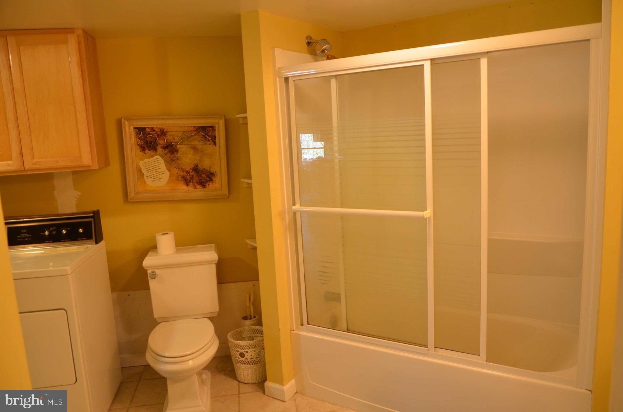 6137 Caledon Road King George, VA 22485 - Photo 42 of 45 Basement Full Bath