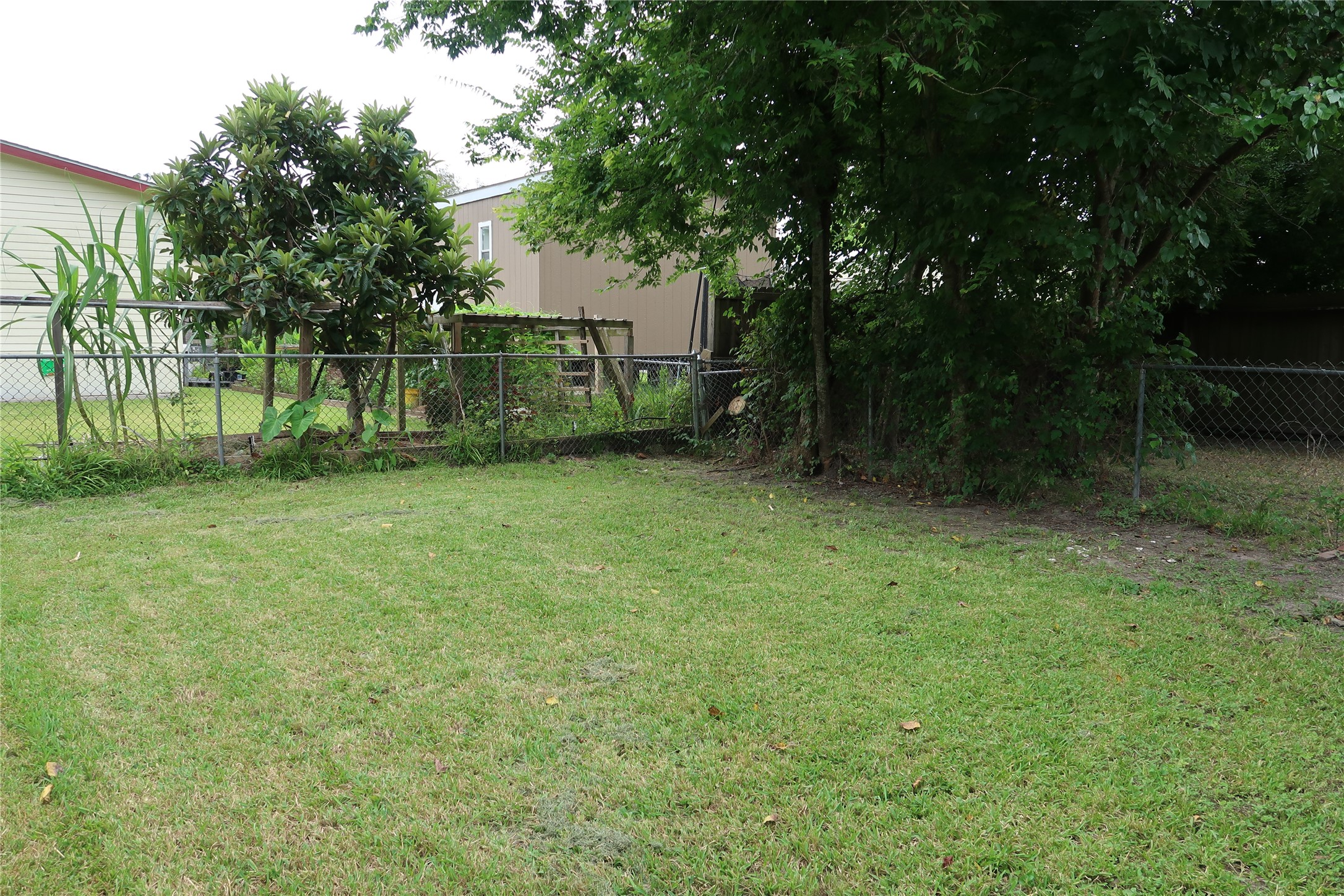 4721 9th Street, Unit A Bacliff, TX 77518 - Photo 25 of 27 a view of a yard with a tree