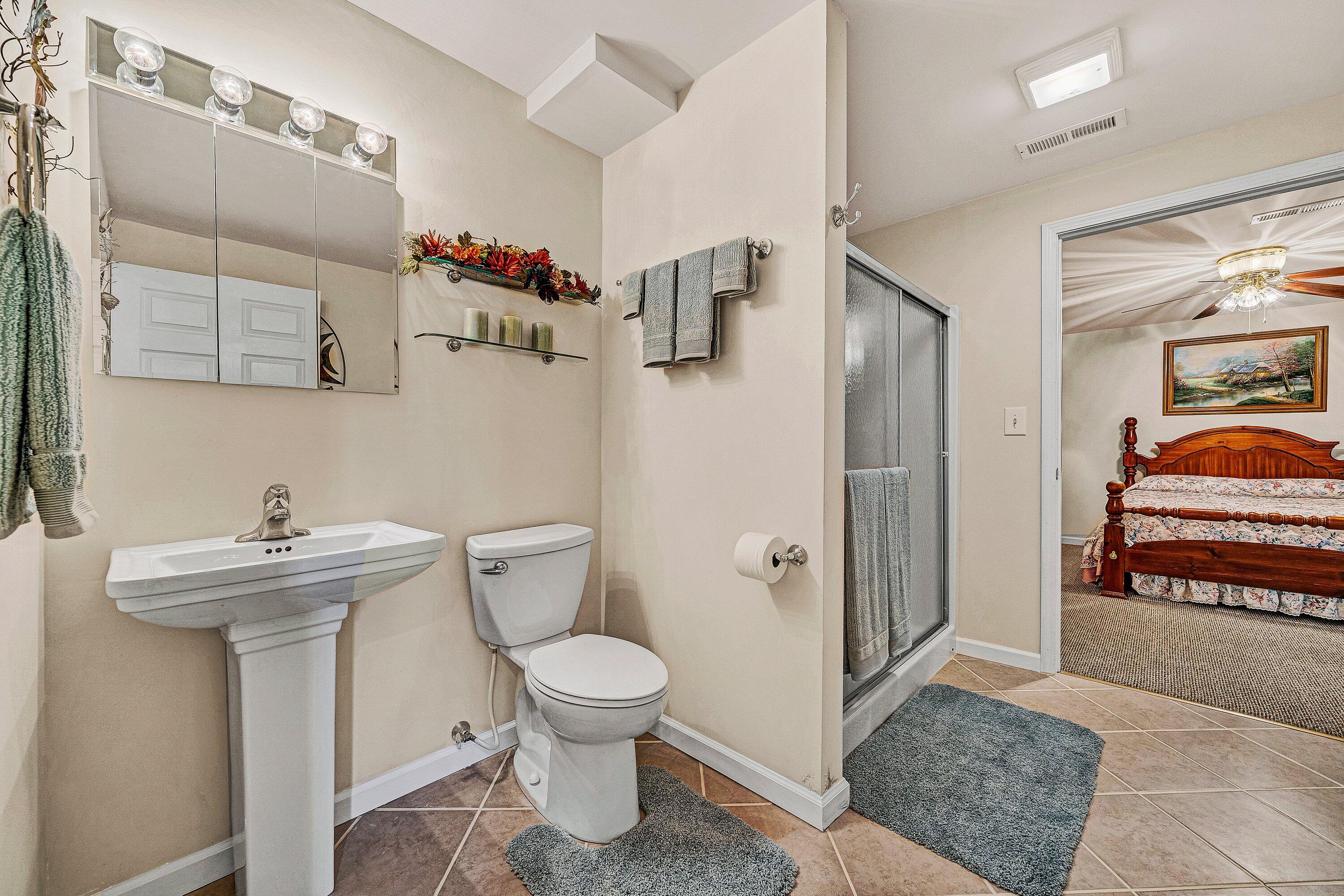 1850 Emmaus Church Road Moneta, VA 24121 - Photo 33 of 63 a bathroom with a sink a toilet and shower