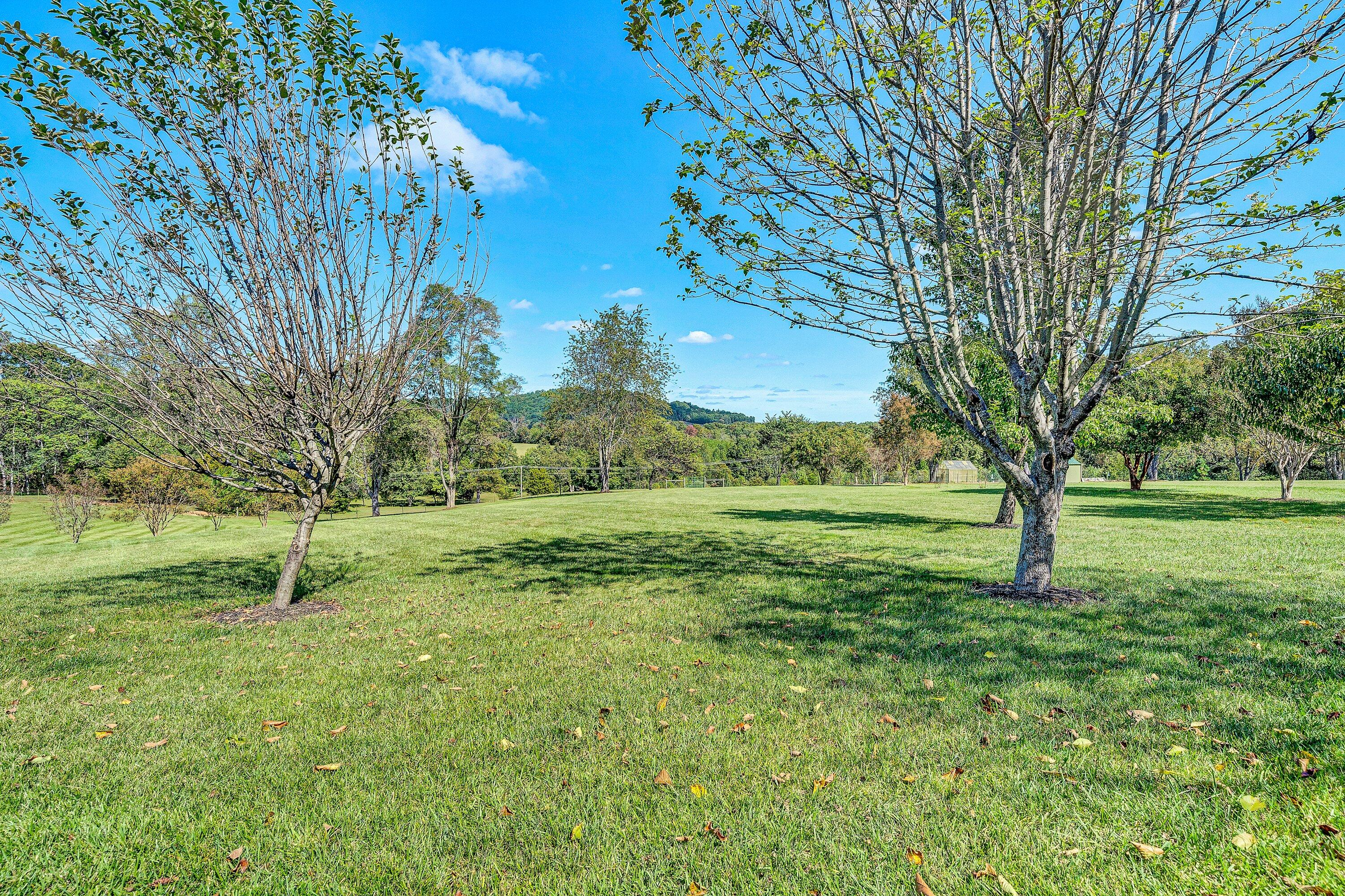 1850 Emmaus Church Road Moneta, VA 24121 - Photo 48 of 63 a view of backyard with green space