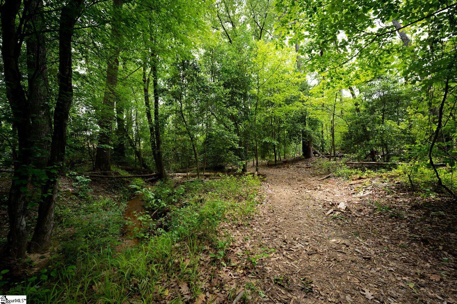 343 Nettle Lane Greenville, SC 29607 - Photo 26 of 27 Gallery Image 26