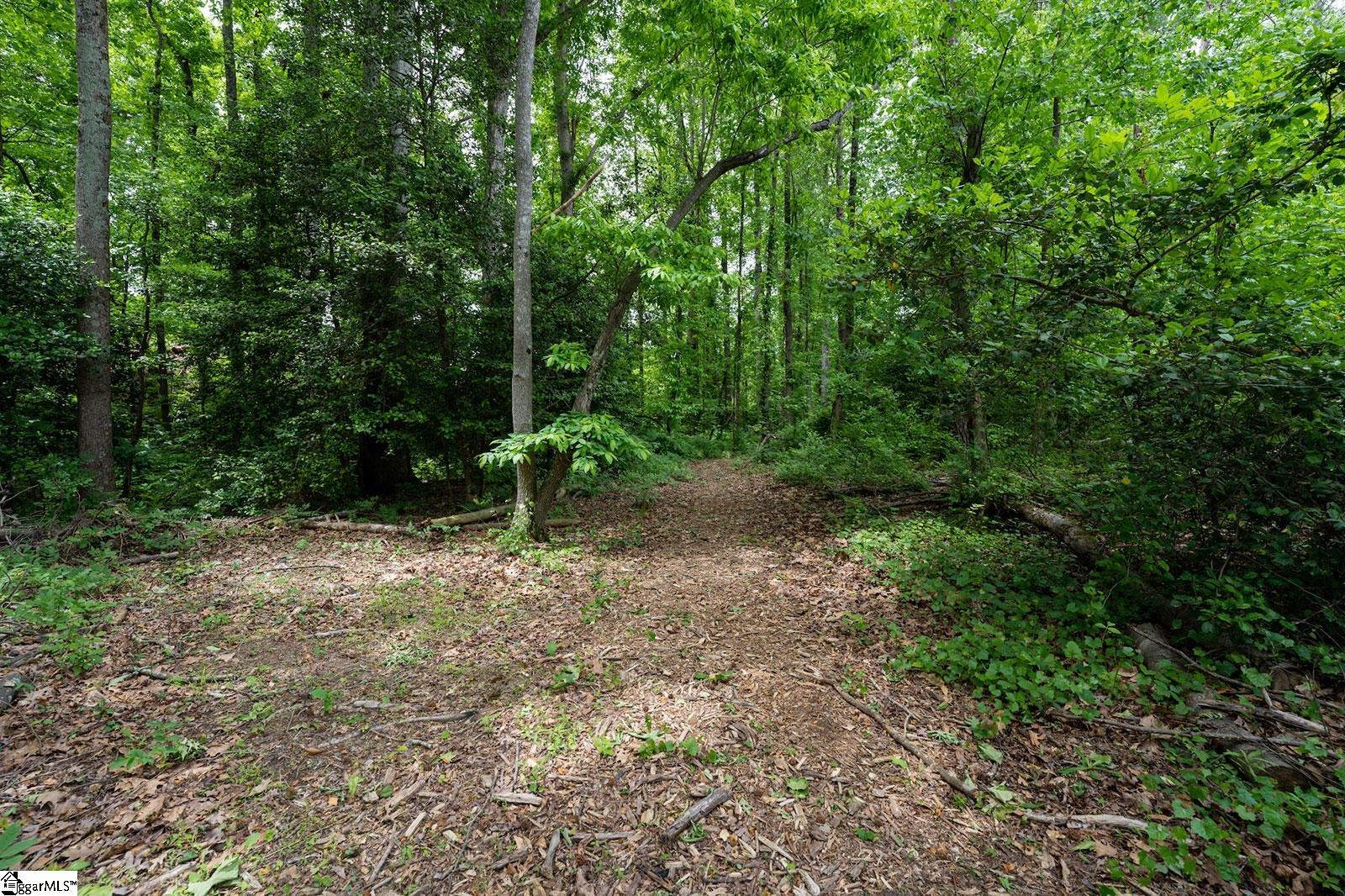 343 Nettle Lane Greenville, SC 29607 - Photo 27 of 27 Gallery Image 27