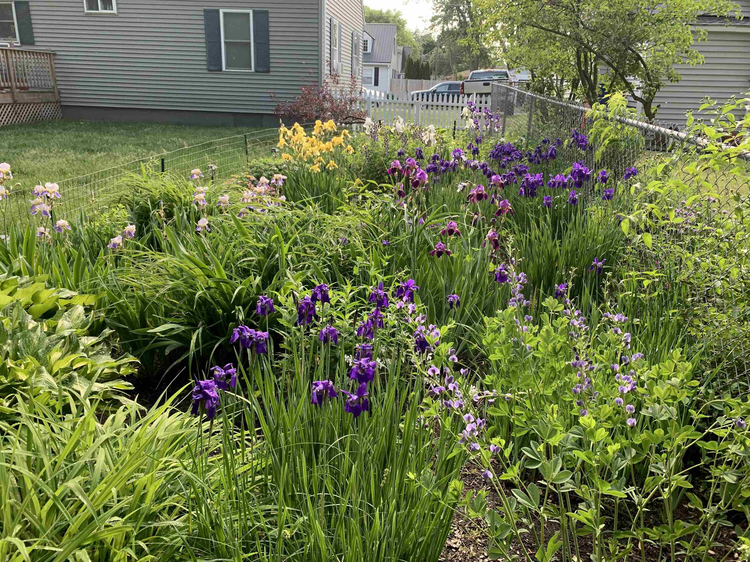 5 Lapointe Street Winooski, VT 05404 - Photo 40 of 40