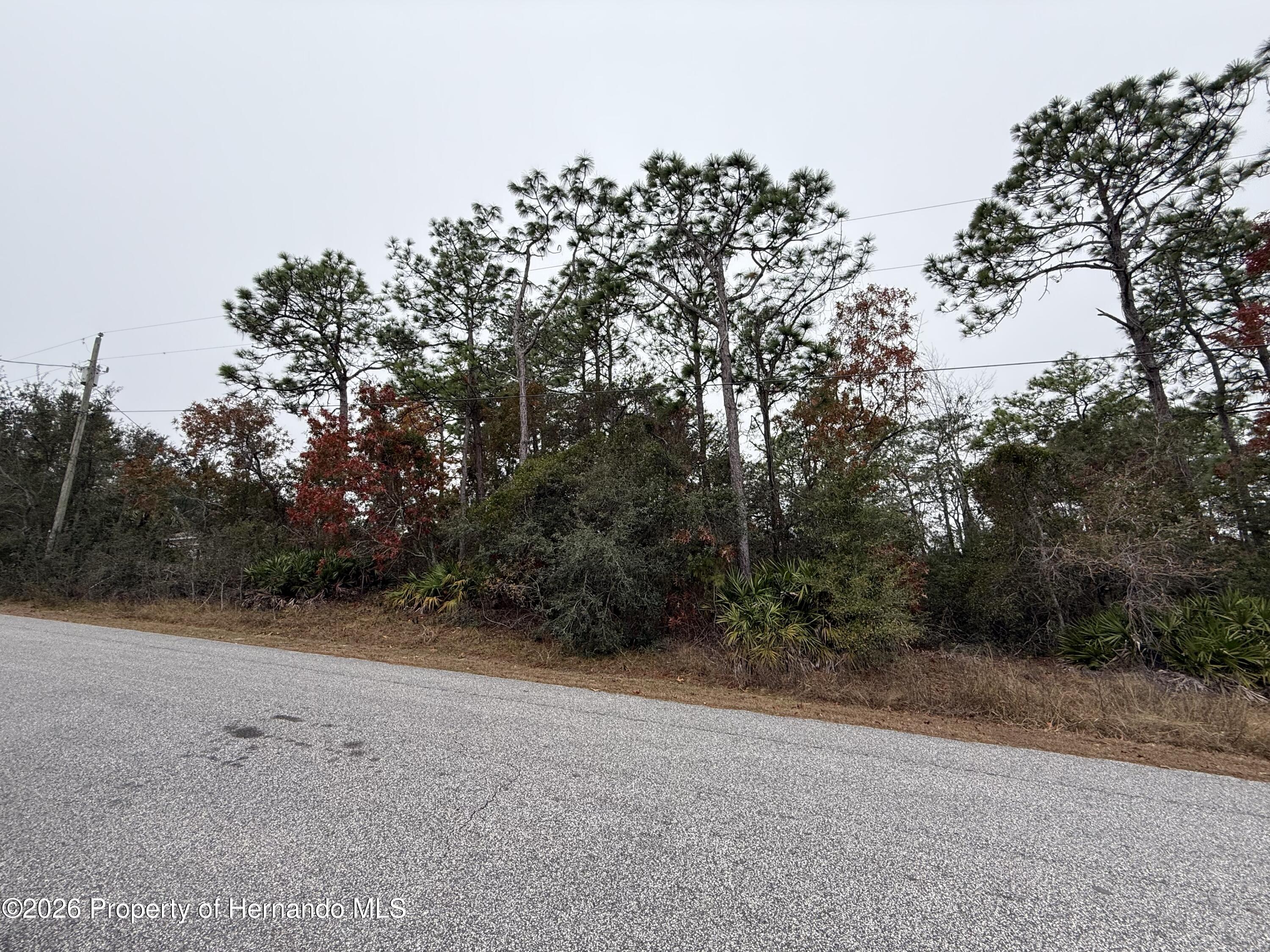 8181 Christopher Lane Weeki Wachee, FL 34613 - Photo 4 of 6