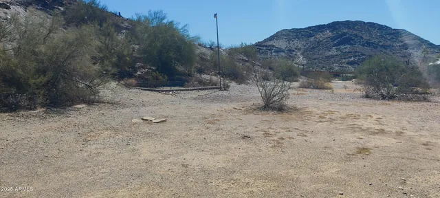 a view of outdoor space and tree
