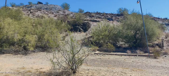 a view of a dry yard with trees