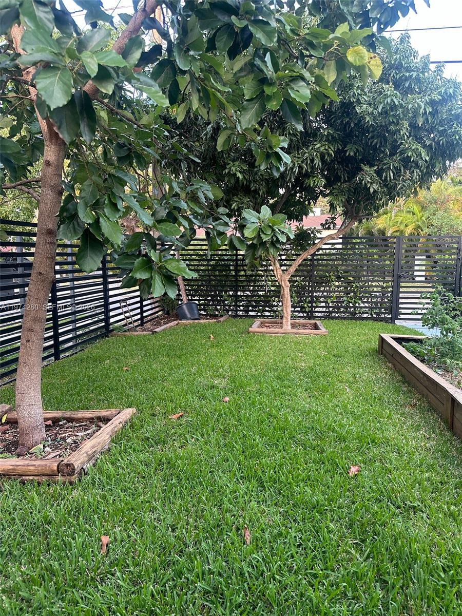 3134 Carter Street Miami, FL 33133 - Photo 3 of 36 a view of a backyard with a garden