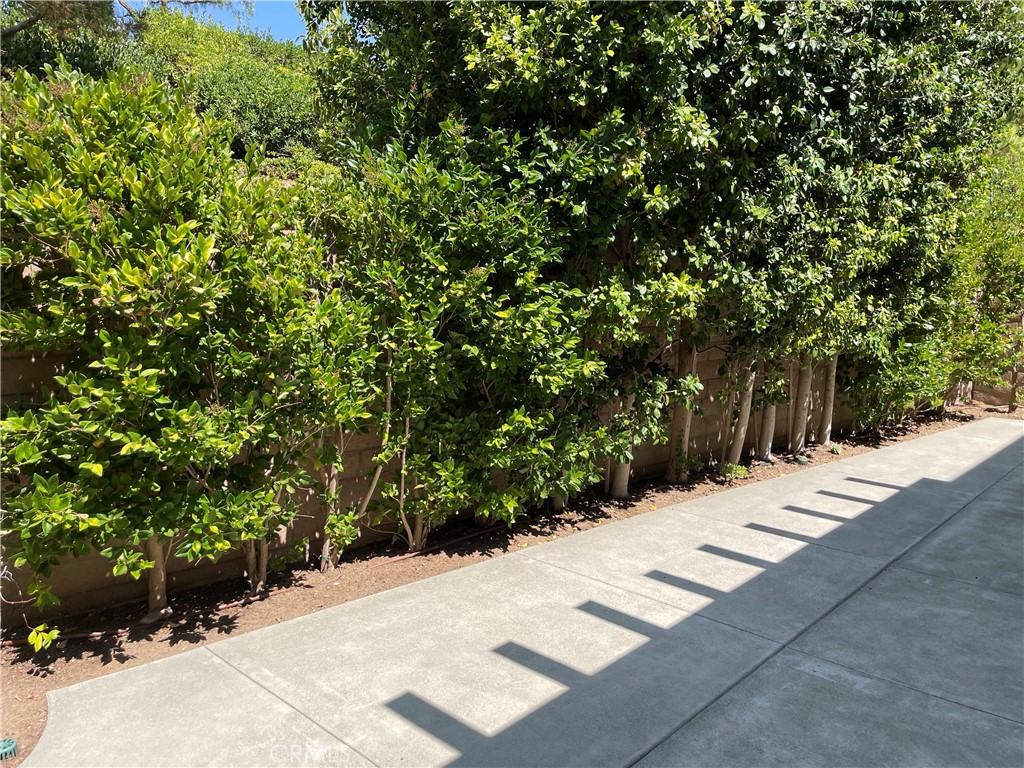 182 Working Ranch Irvine, CA 92602 - Photo 41 of 46