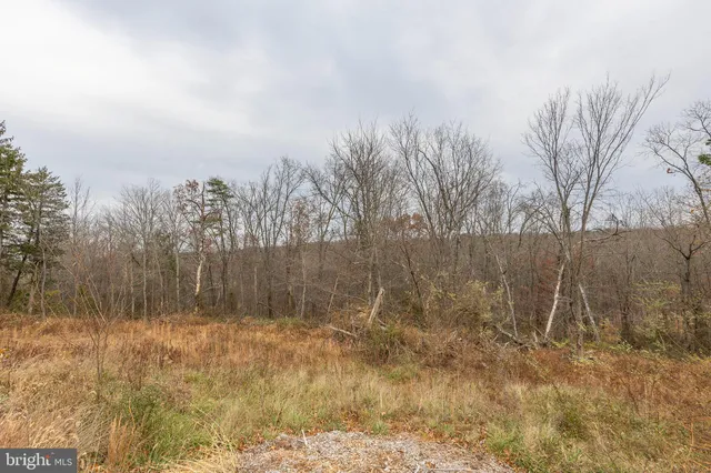 $399,000 | 2913 Wardensville Grade, Winchester, VA 22602