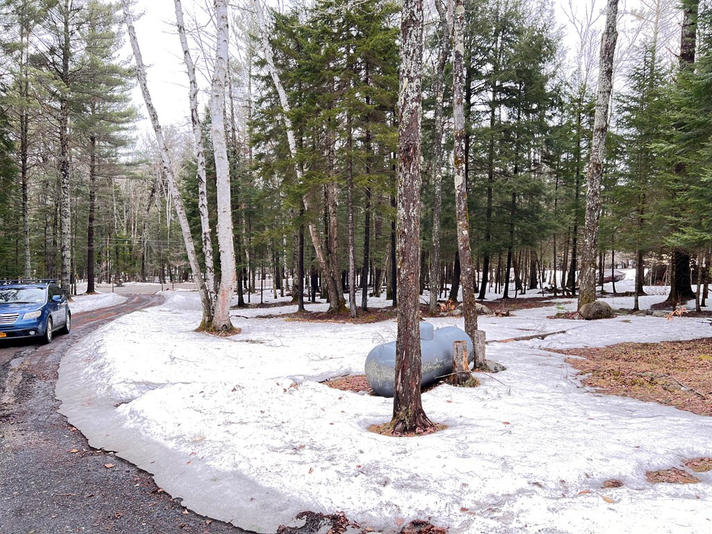 162 Kickerville Road Long Lake, NY 12847 - Photo 23 of 29 Gallery Image 23