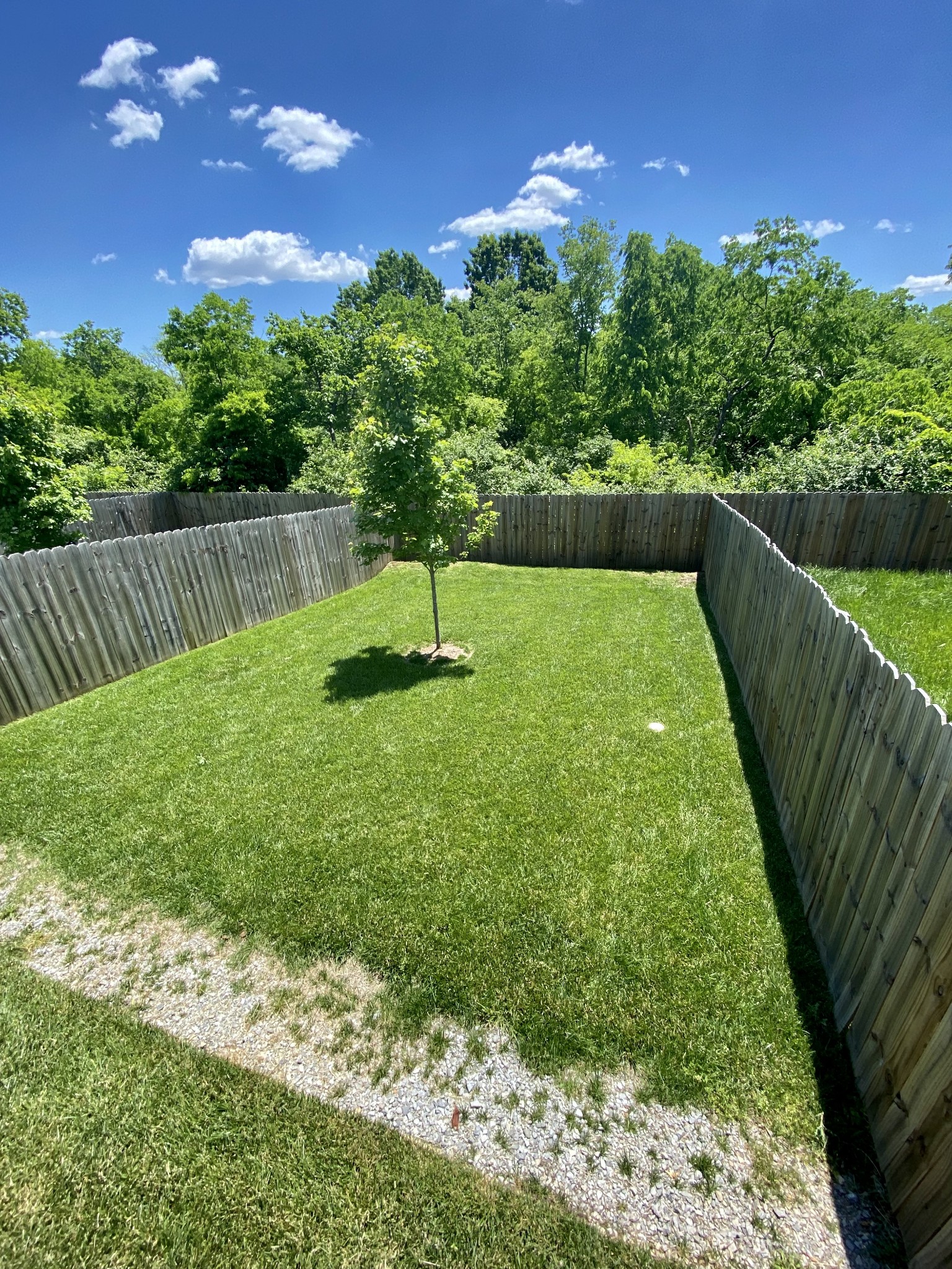 200 B Sunset Drive Nashville, TN 37207 - Photo 25 of 31 a view of a garden with a slide