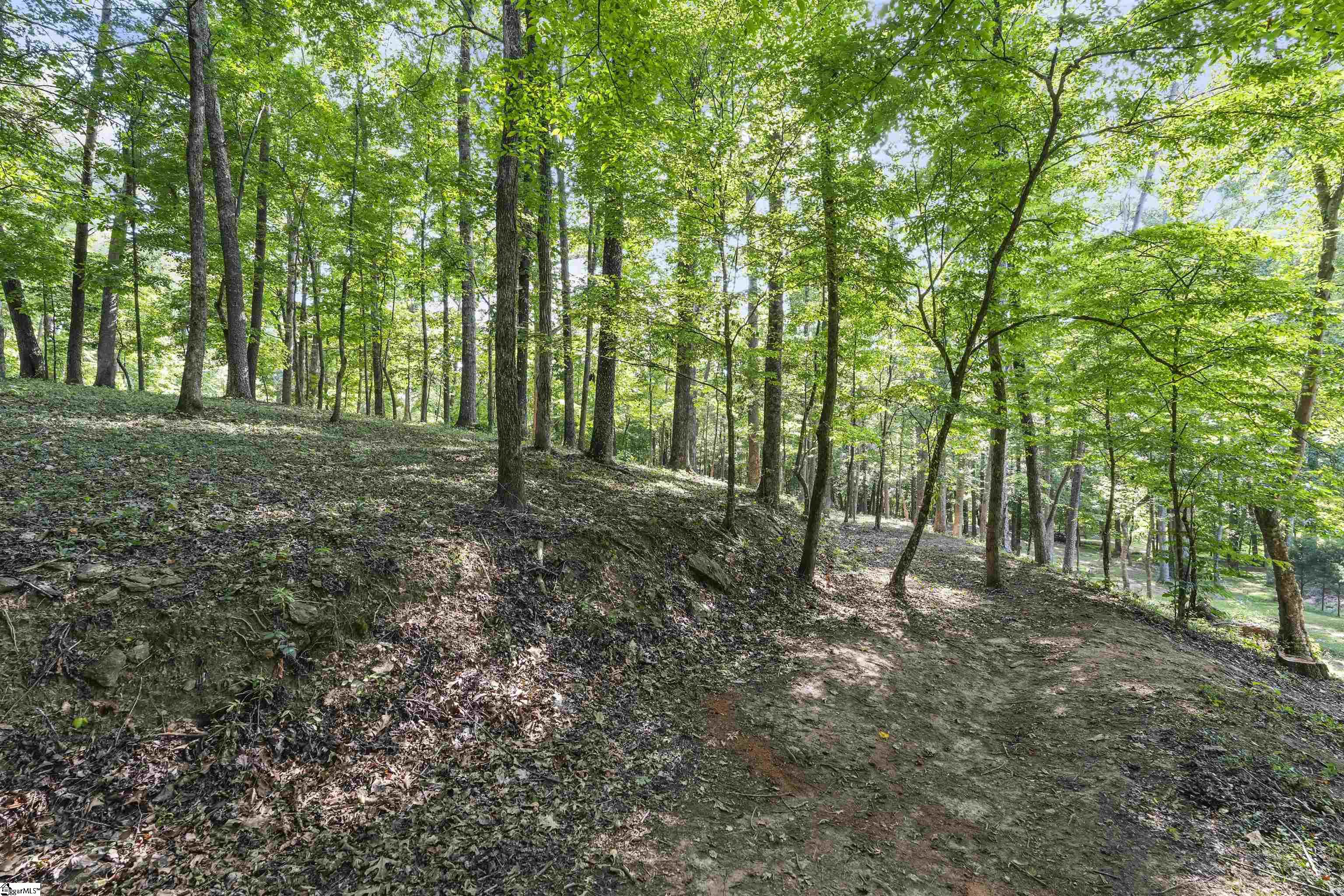 701 Old Saluda Dam Road Easley, SC 29640 - Photo 23 of 30