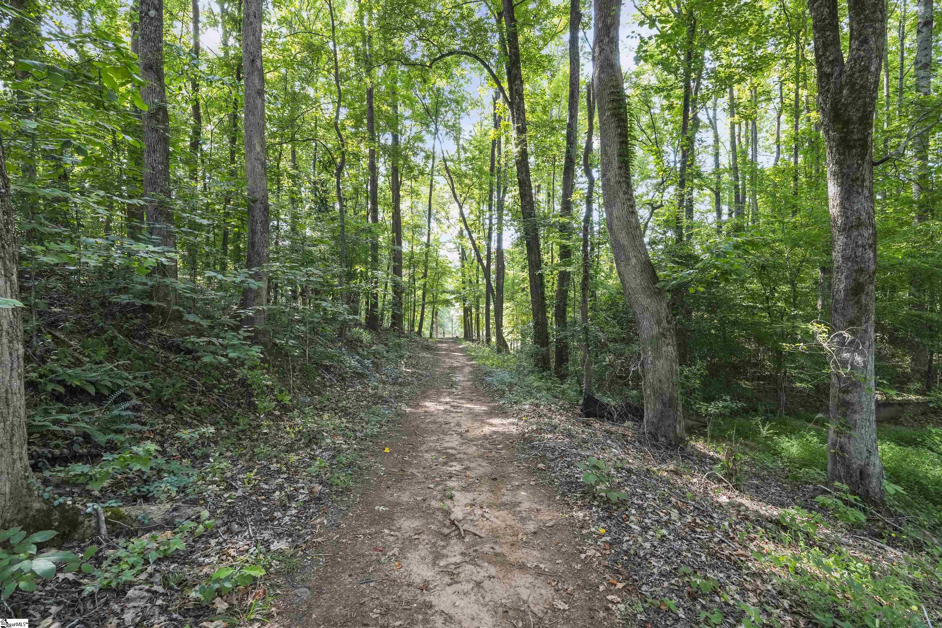 701 Old Saluda Dam Road Easley, SC 29640 - Photo 24 of 30