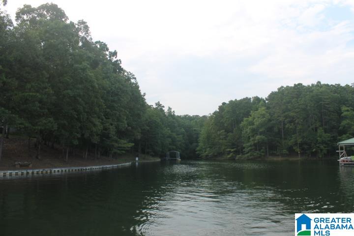 0 Red Cedar Drive, Unit 121 Wedowee, AL 36278 - Photo 21 of 21